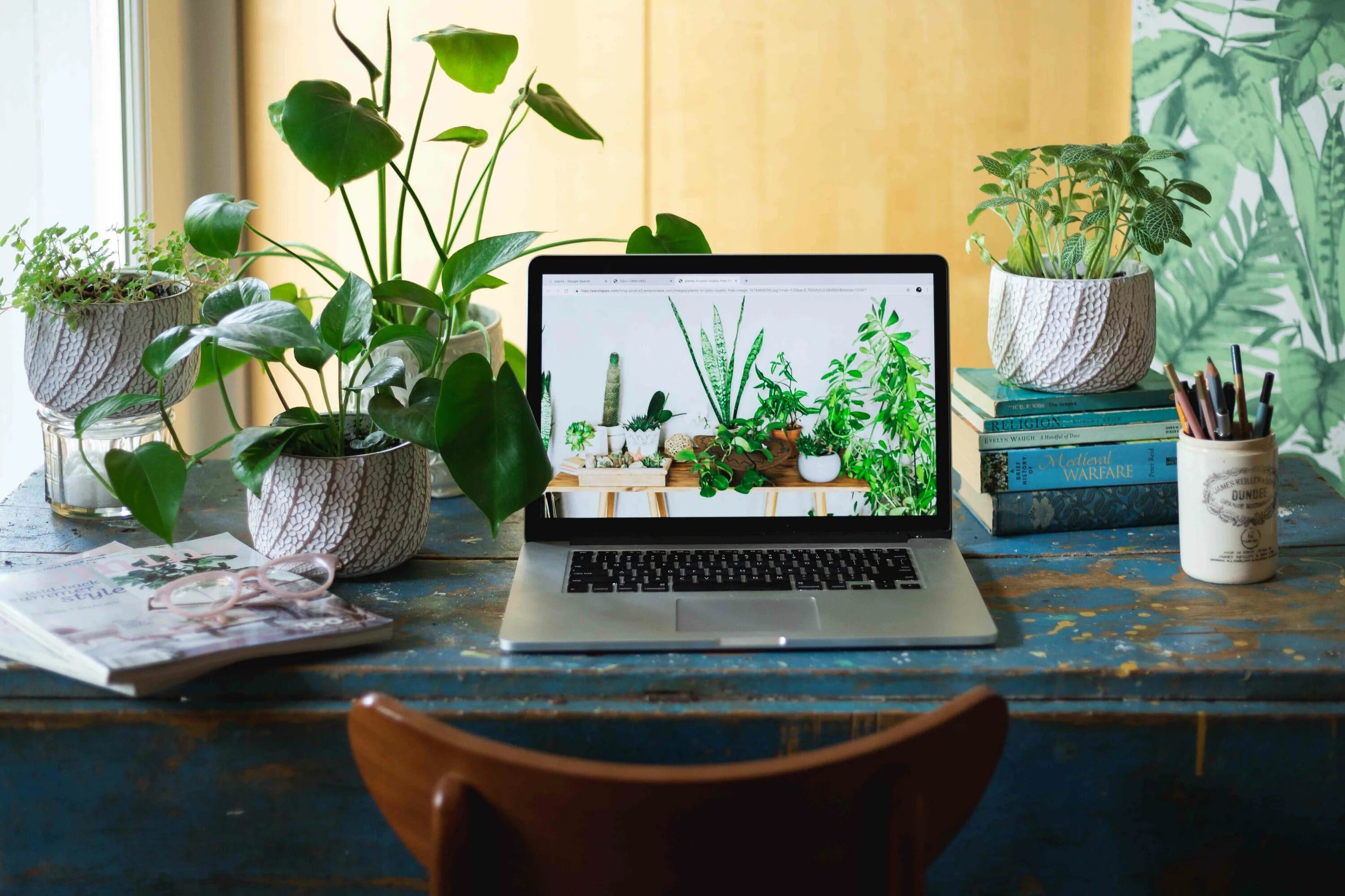 A minimalist desk with a notebook and a plant.